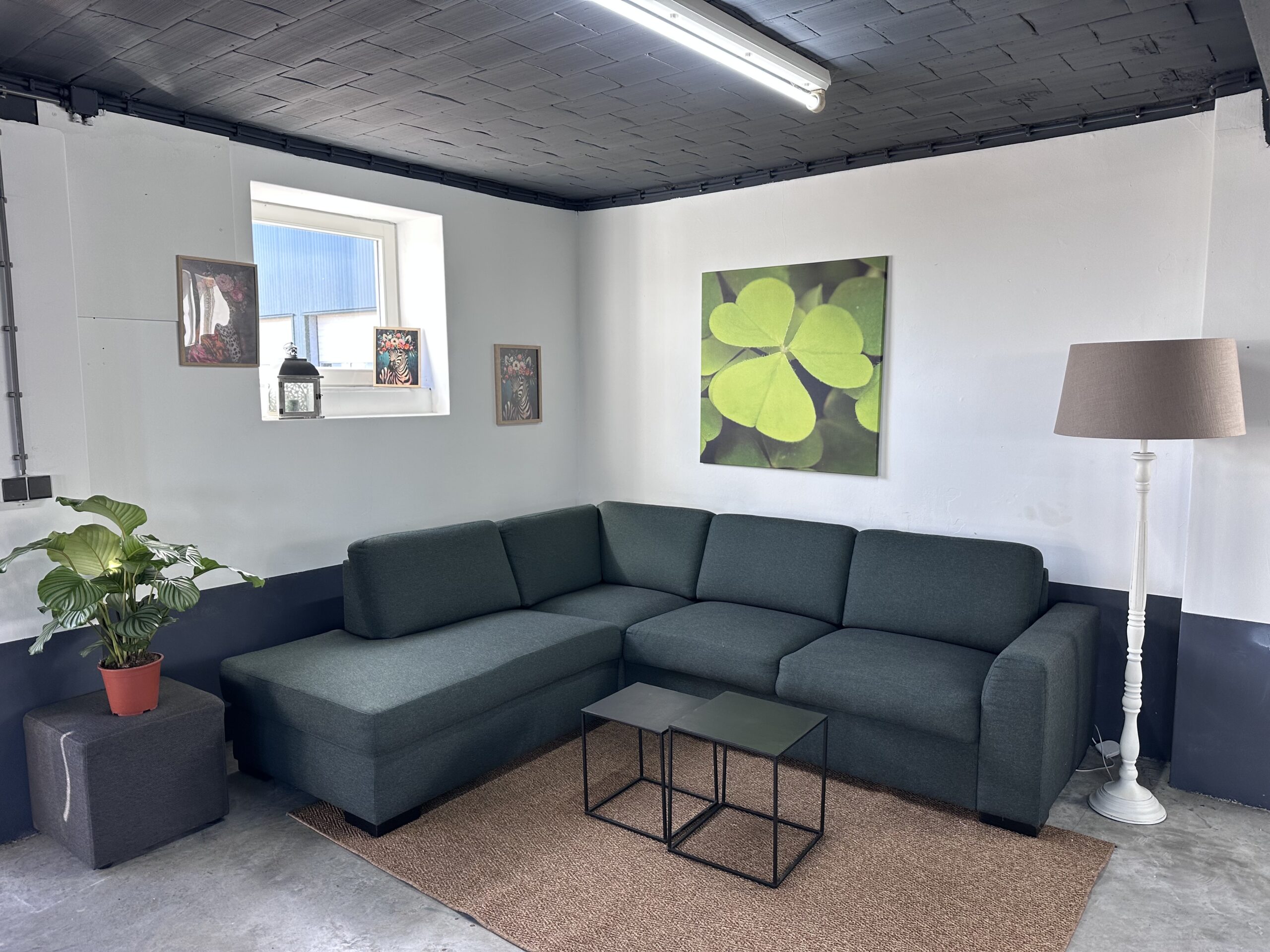 Foto 16-03-2026, 13 36 23 Chaise Lounge Donkergroen - Afbeelding 1